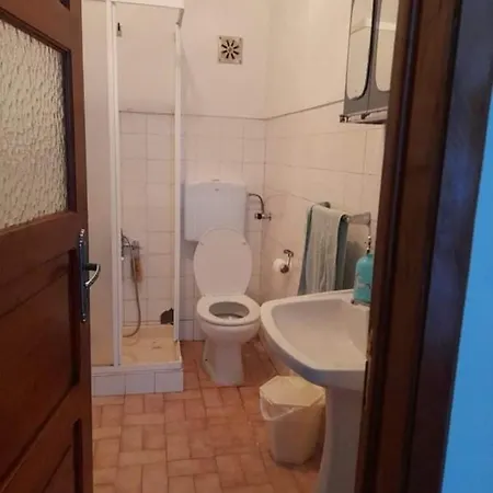 Проживание в семье Rose Street House *
